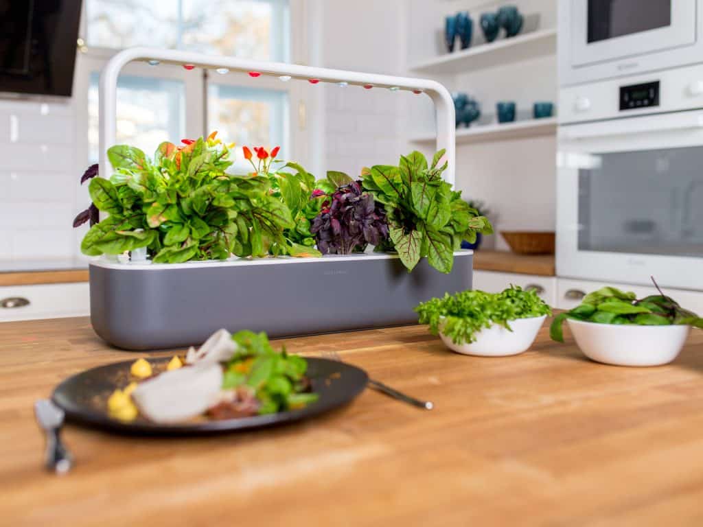 Click & Grow Smart Garden 9 Self-Watering Indoor Garden