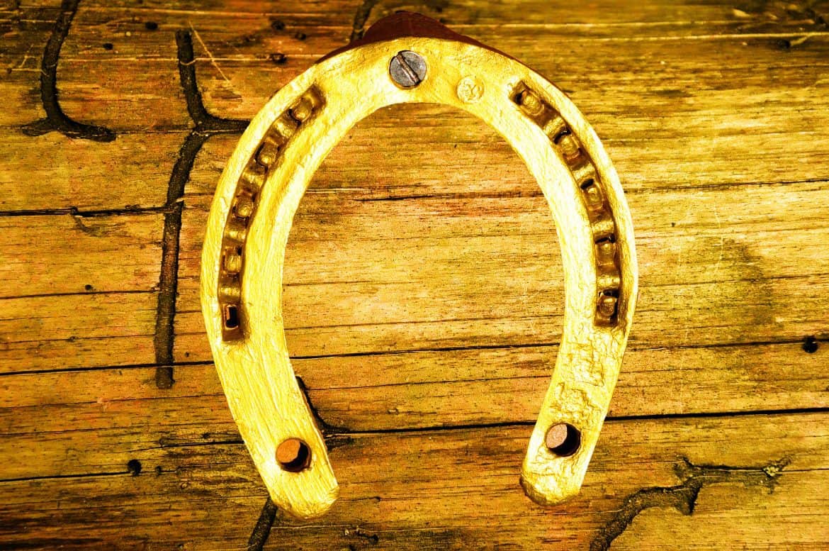 Ultimate Review Of Best Horse Shoe Sets In 2023 The