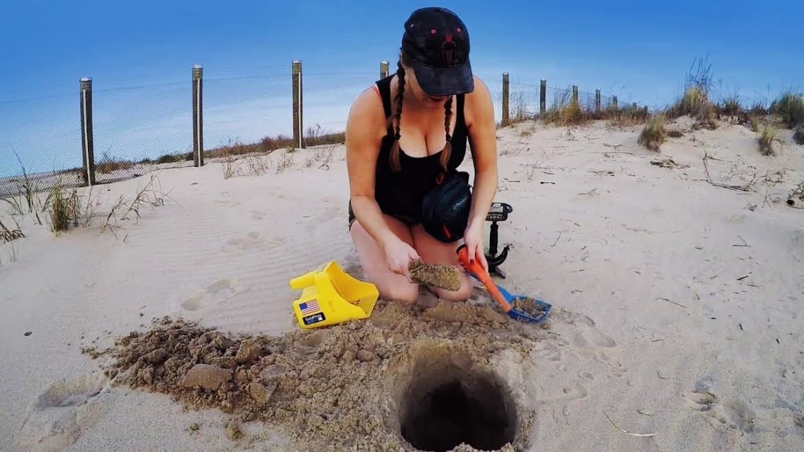 what is a metal detector