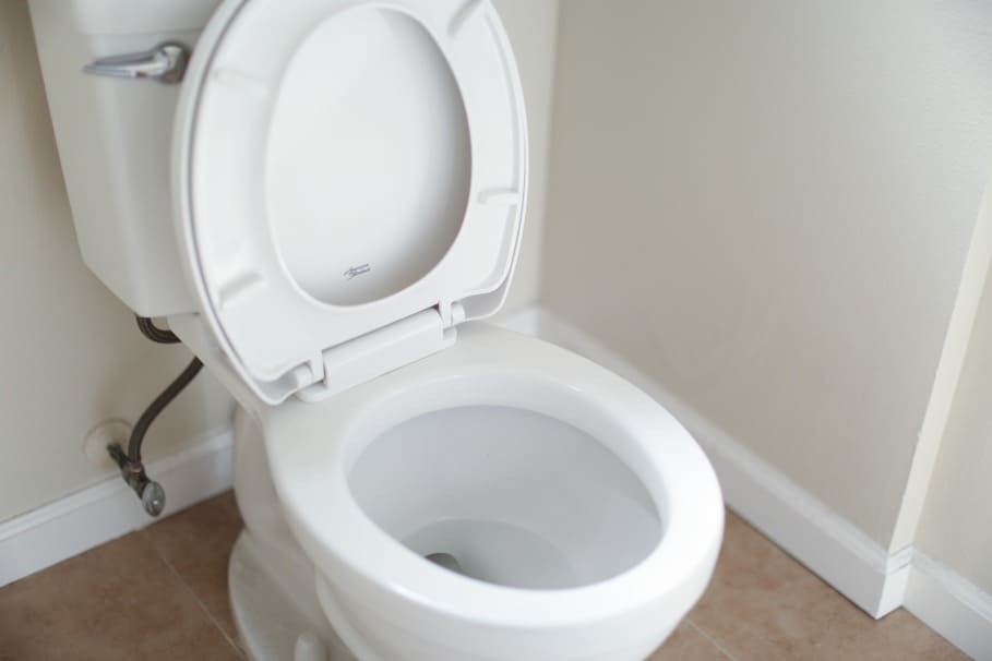 Top 6 Toilet Plungers