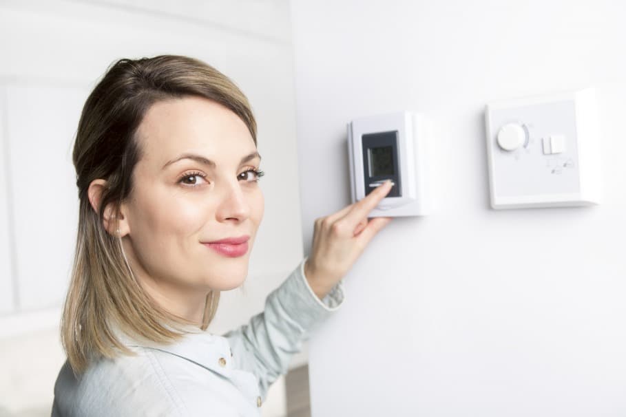 why do you need a thermostat why do you need a thermostat