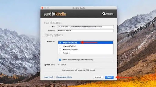 4. Select the Kindle device you want to send to, then click “send.”