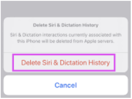Confirmation delete siri Dictation & History