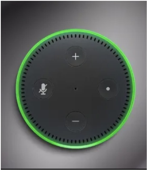 Why is My Alexa Green?