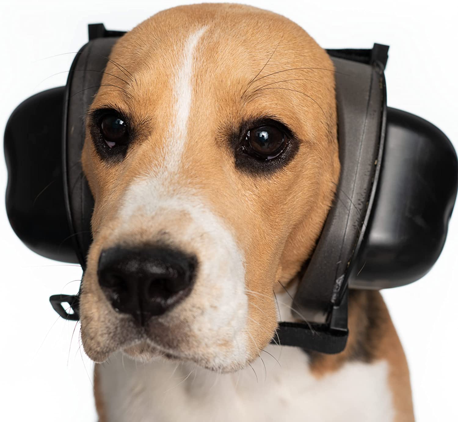 Anti Anxiety Dog Ear Protection - Reduce Noise by 32dB NRR, Safe Dogs Ears Noise Cancelling Dog Headphones for Calming