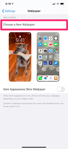How to Resize an Image on iPhone for Wallpaper small