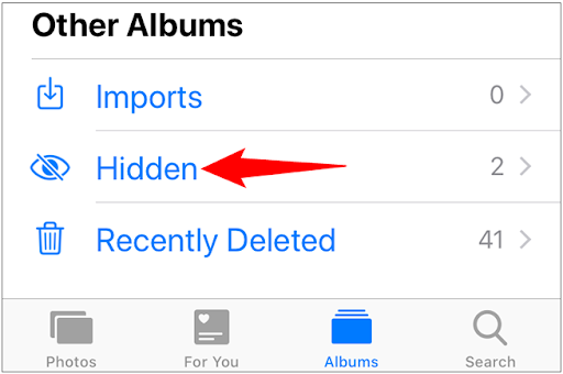 On the album, scroll to the bottom under “Utilities” and tap “Hidden”