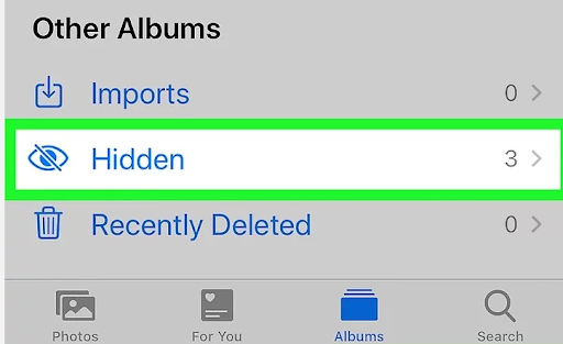 Scroll down and select the “ Hidden albums” icon