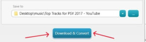 Click “Download and Convert”