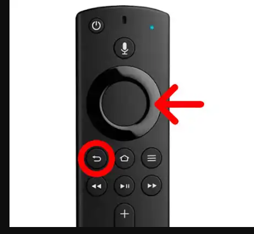 Remote Press Play Pause Button