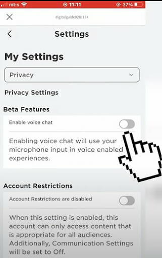 Roblox Enable Voice Chat iPhone